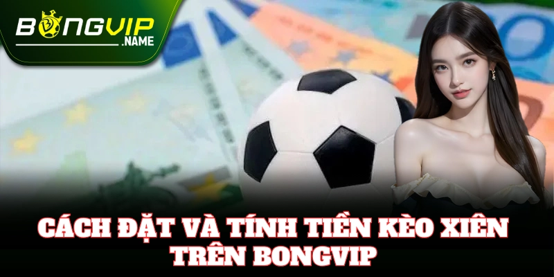 Hướng dẫn đặt Kèo Xiên trên trang cược Bongvip